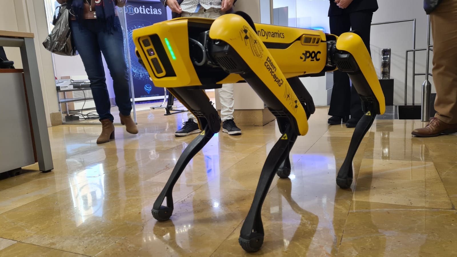 El viral cuadrúpedo, que sorprendió a todos en las calles de León hace unos meses, ha hecho parada en la redacción de este periódico digital.