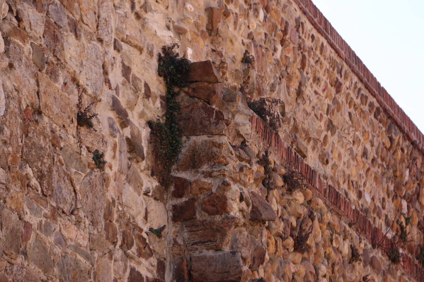 Los arqueólogos siguen buscando vestigios a la espera de dar paso a las obras de peatonalización de las calles Carreras y Los Cubos.