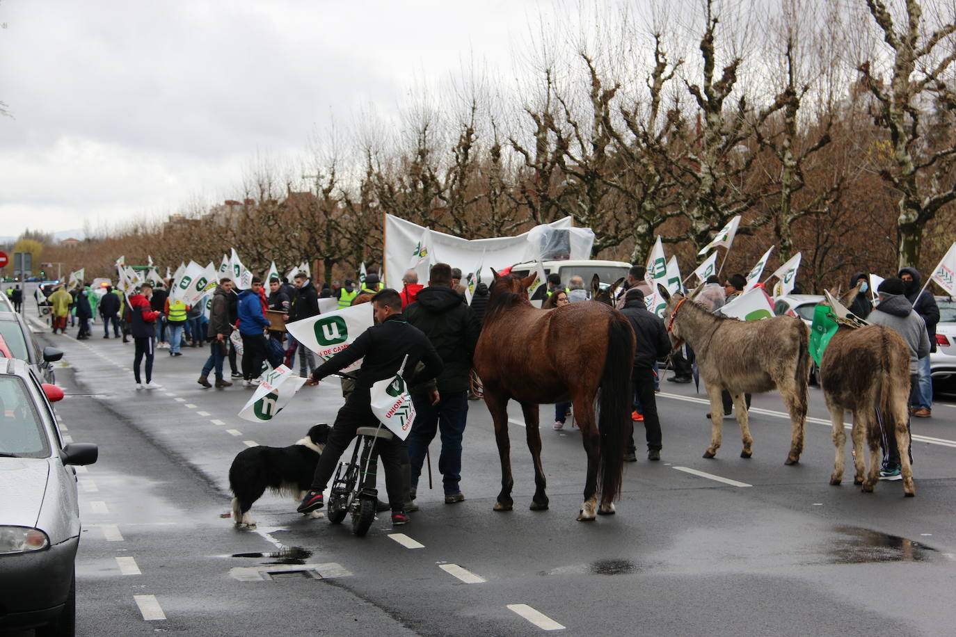 Manifestación de UCCL por las calles de la capital leonesa. 