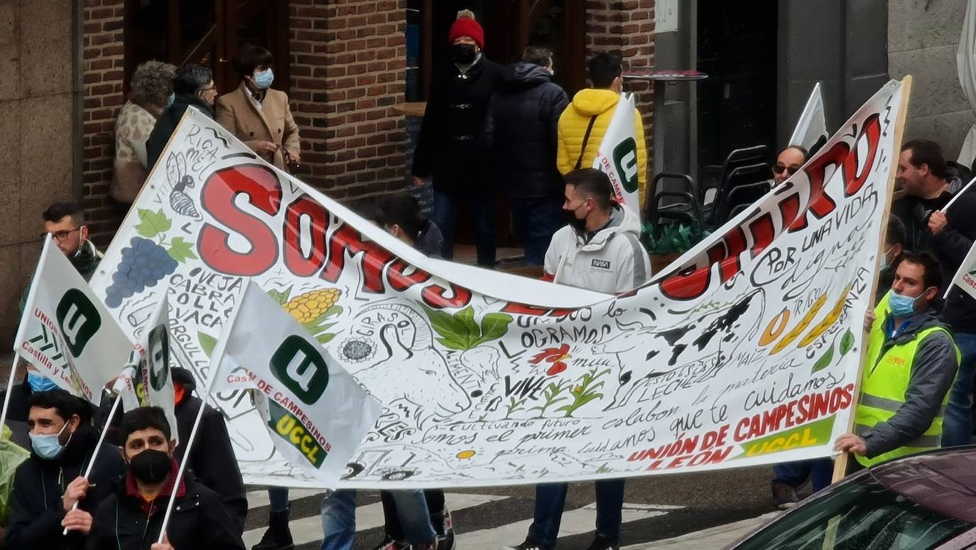 Manifestación de UCCL por las calles de la capital leonesa. 