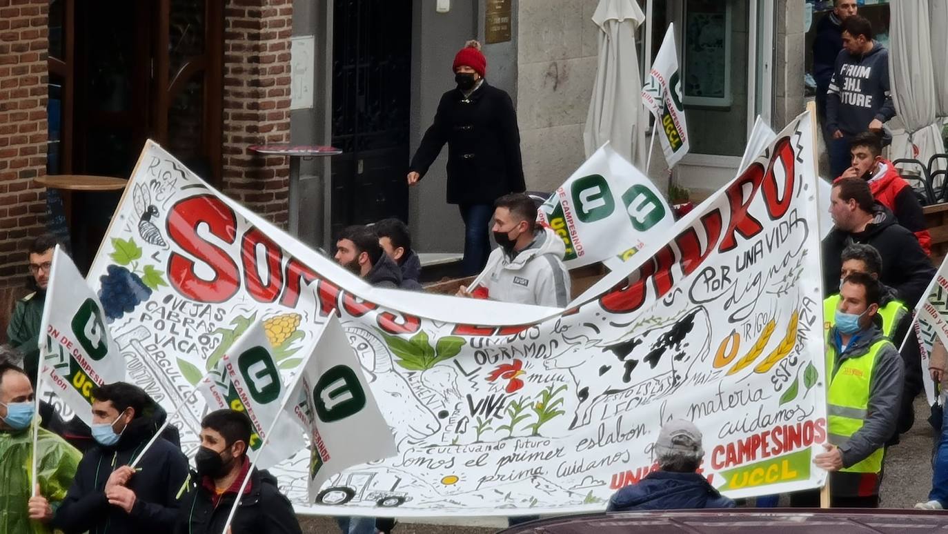 Manifestación de UCCL por las calles de la capital leonesa. 