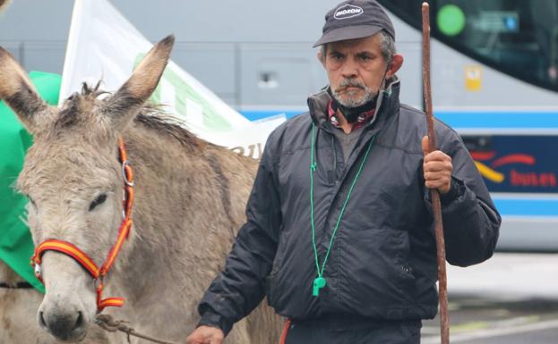 Un hombre con su burro pasea por las calles de la capital leonesa en la manifestación de UCCL. 