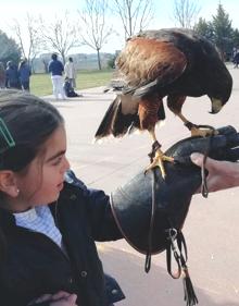 Imagen secundaria 2 - Clases de música y diferentes actividades organizadas por el Colegio Peñacorada. 