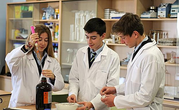 Unos alumnos del Peñacorada trabajan en el laboratorio del centro. 