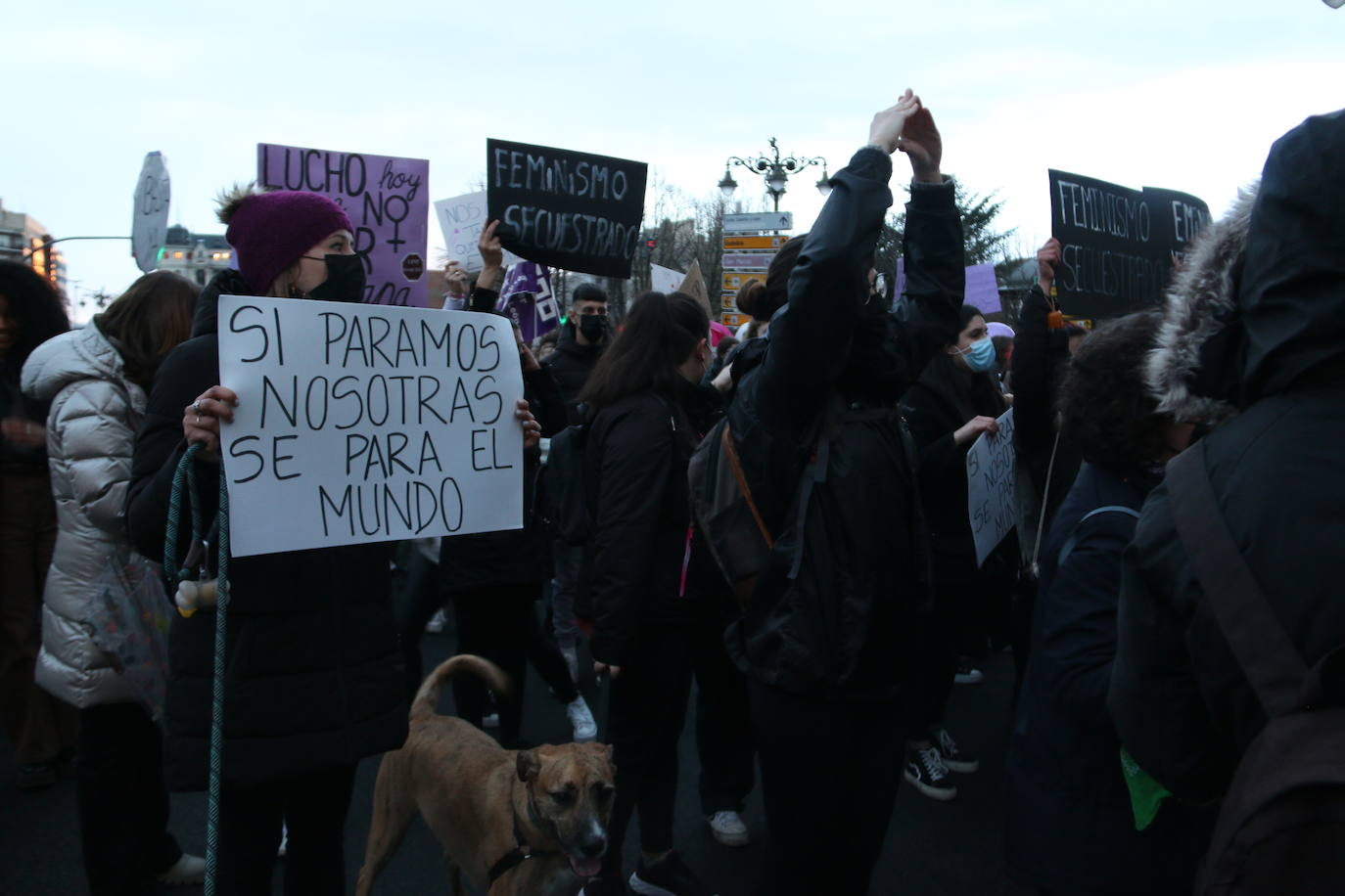 Las calles de la capital se han teñido de violeta en la manifestación reivindicativa del Día Internacional de la Mujer.