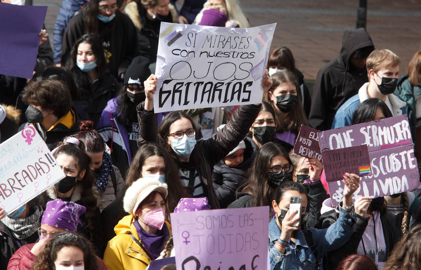 Manifestación de la Asociación de Mujeres Feministas Bercianas en Ponferrada. 