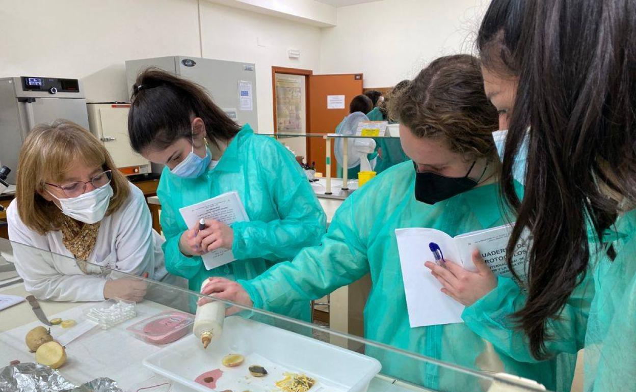 El programa del Día Internacional de la Mujer y la Niña en Ciencia llegó a cerca de 1.200 estudiantes