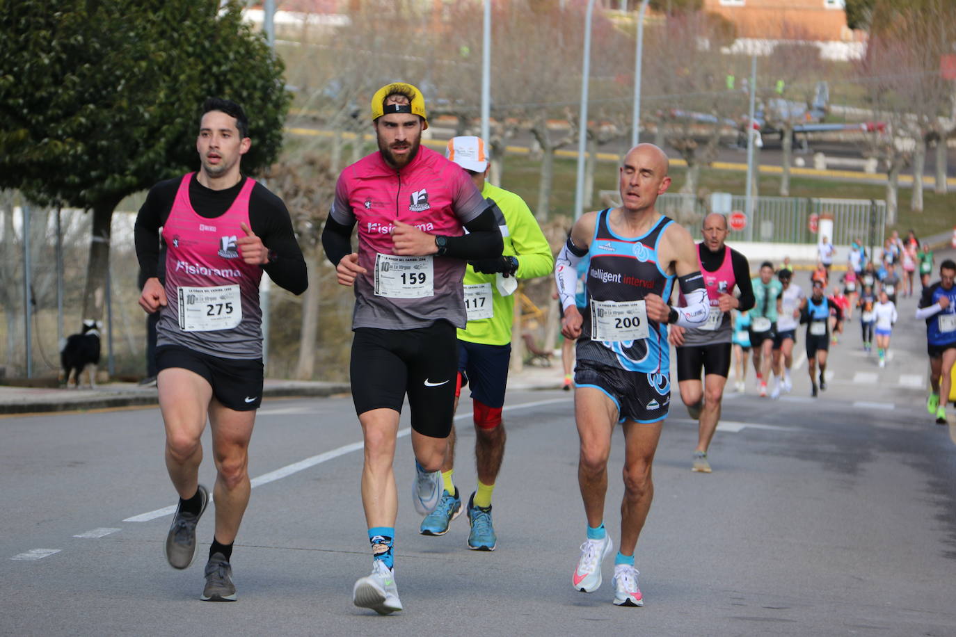 Ofrecemos una amplia galería con los corredores que participaron en esta marcha popular del alfoz de León.