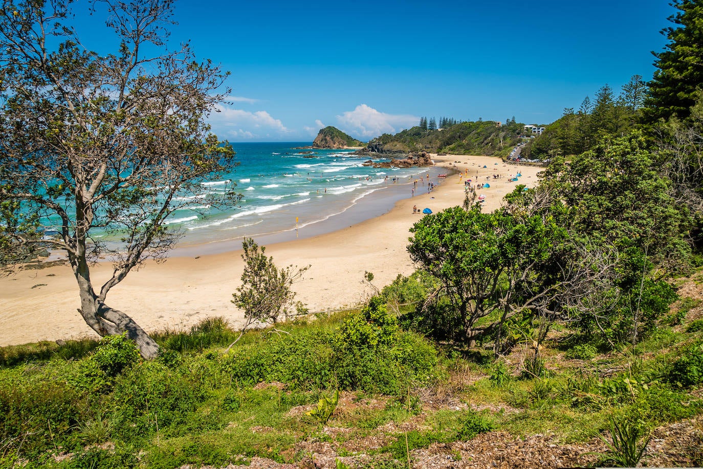 Isla de Macquarie (Tasmania, Australia)