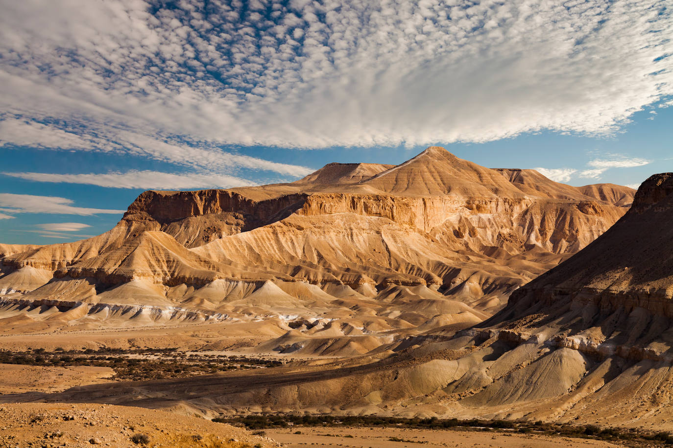 Desierto de Néguev (Israel) 