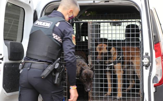 Galería. Turbo y Bruja salen de la furgoneta que les transporta.