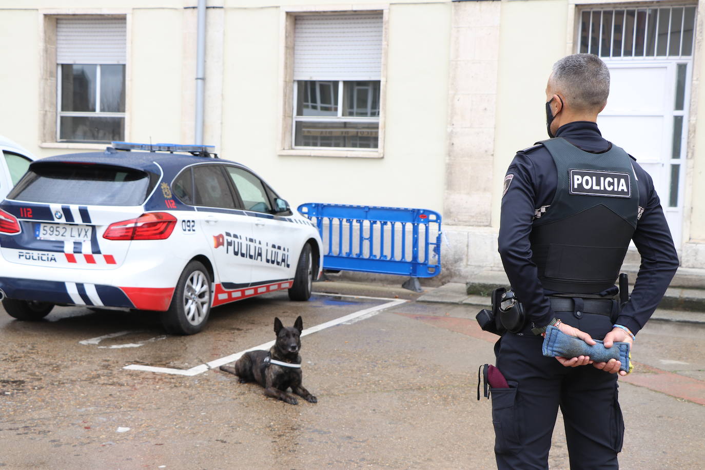 Los dos canes están integrados en la policía canina y acompañados por sus dos guías patrullan la ciudad.