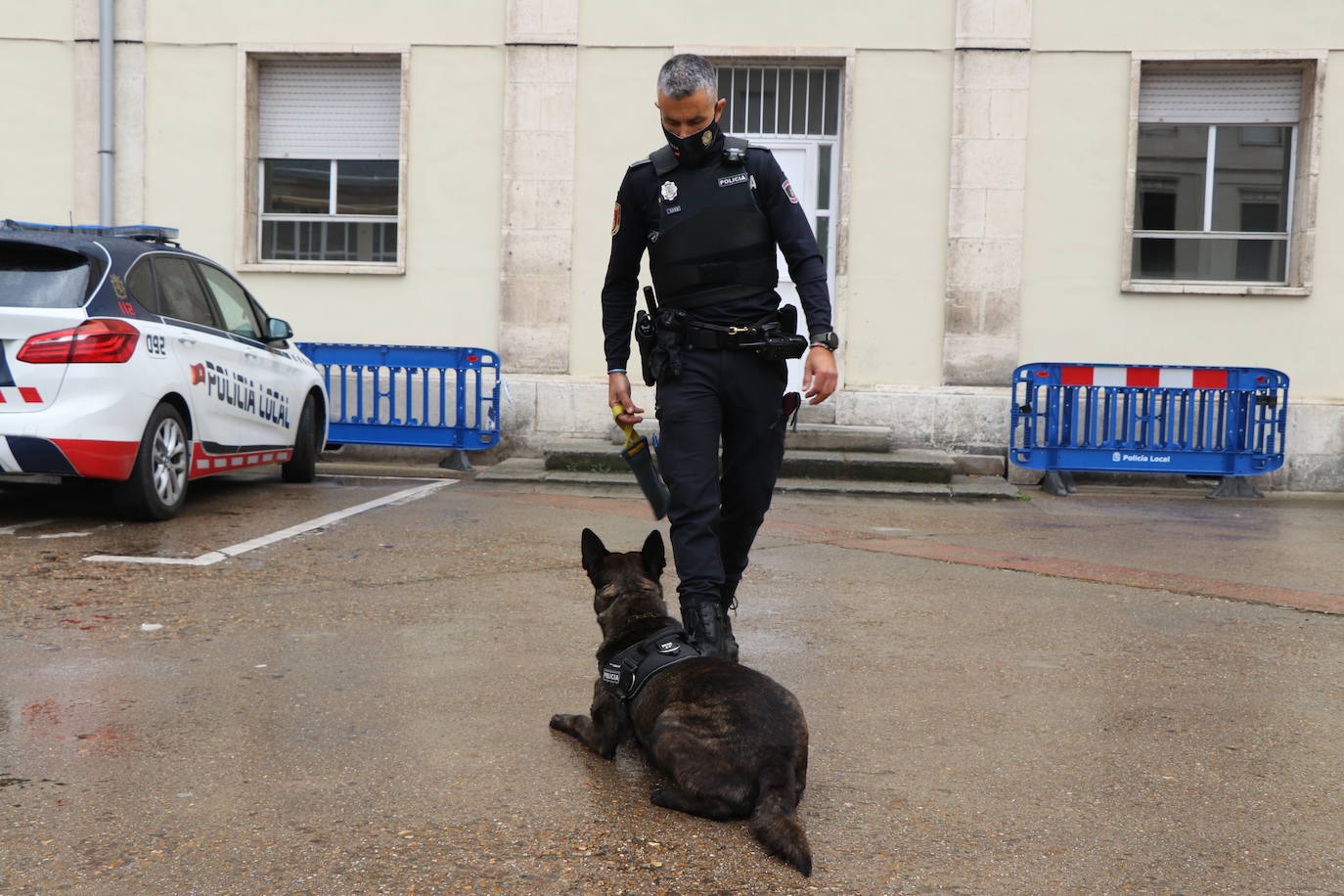 Los dos canes están integrados en la policía canina y acompañados por sus dos guías patrullan la ciudad.