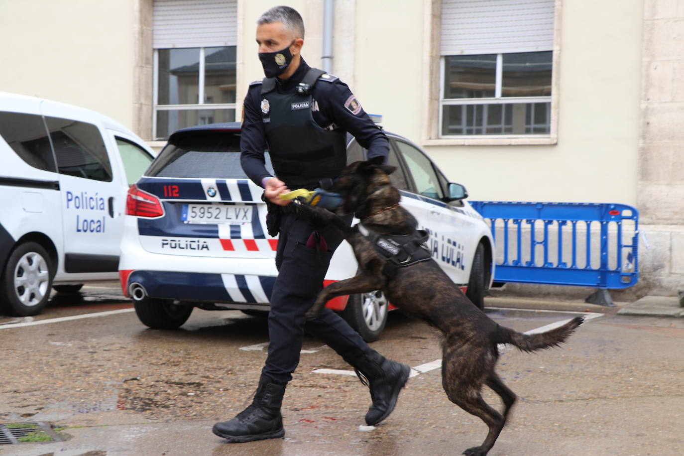 Los dos canes están integrados en la policía canina y acompañados por sus dos guías patrullan la ciudad.