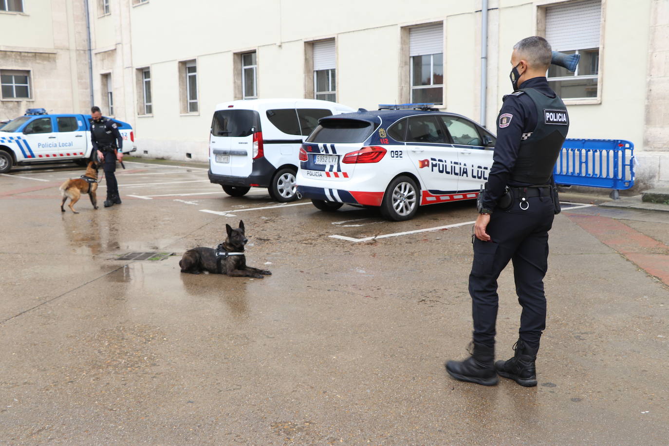 Los dos canes están integrados en la policía canina y acompañados por sus dos guías patrullan la ciudad.