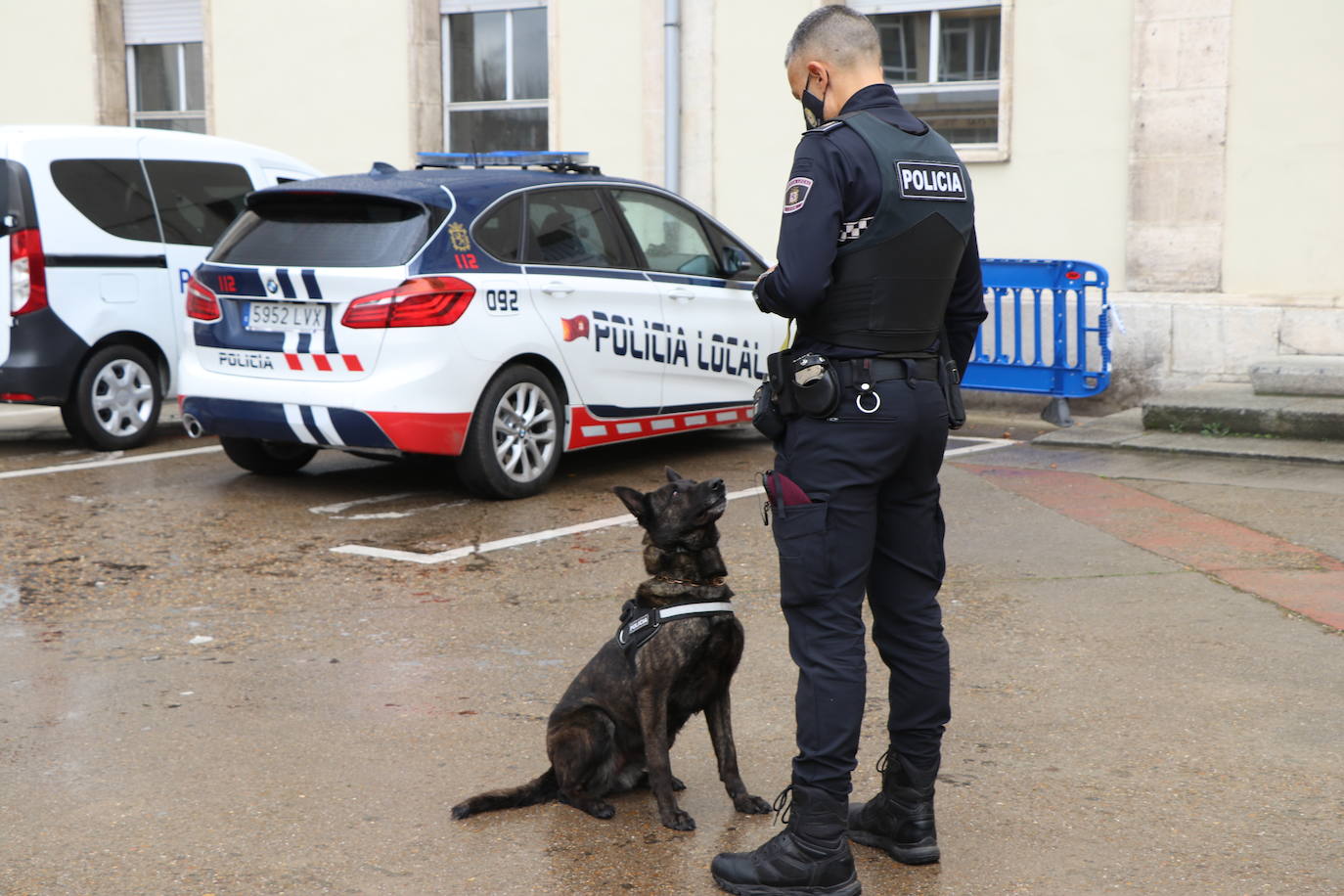 Los dos canes están integrados en la policía canina y acompañados por sus dos guías patrullan la ciudad.