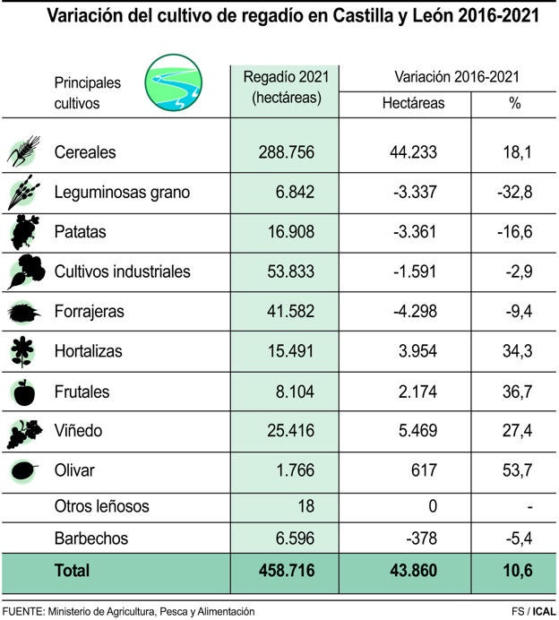 Variación del cultivo de regadío en Castilla y León desde 2016.