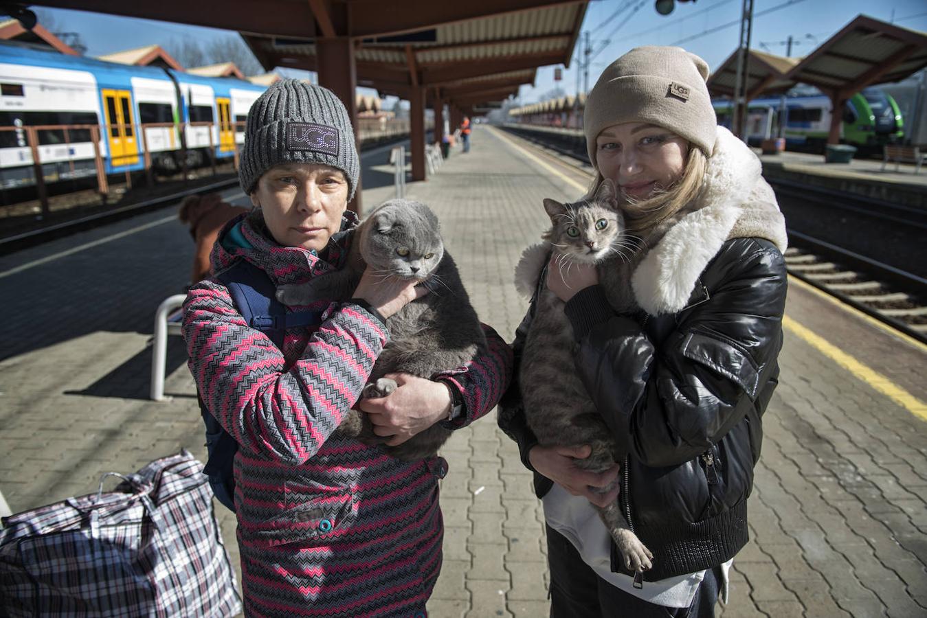 Helen y Marina viajan con sus tres gatos.