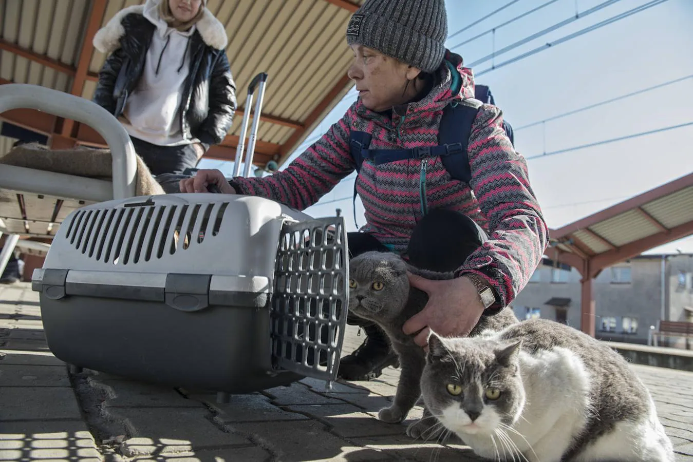 Helen y Marina viajan con sus tres gatos.