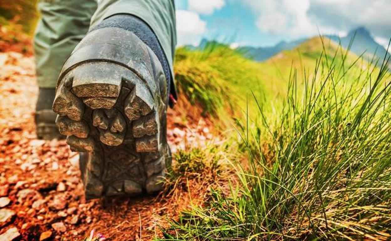 Correos crea una lista de las especies más destacadas del Camino de Santiago.