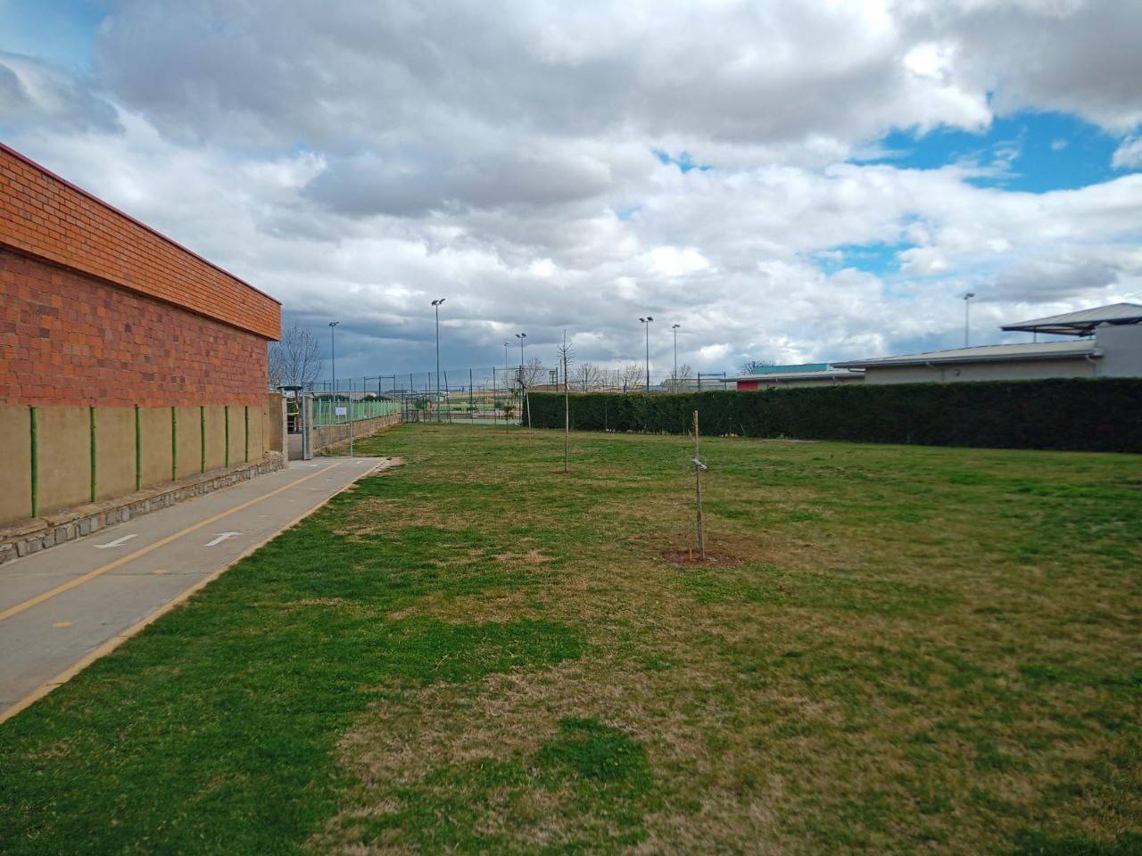 Fotos: Nuevos árboles crecen desde en Valencia de Don Juan