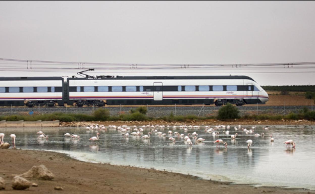 Un tren de media distancia recorre la península.
