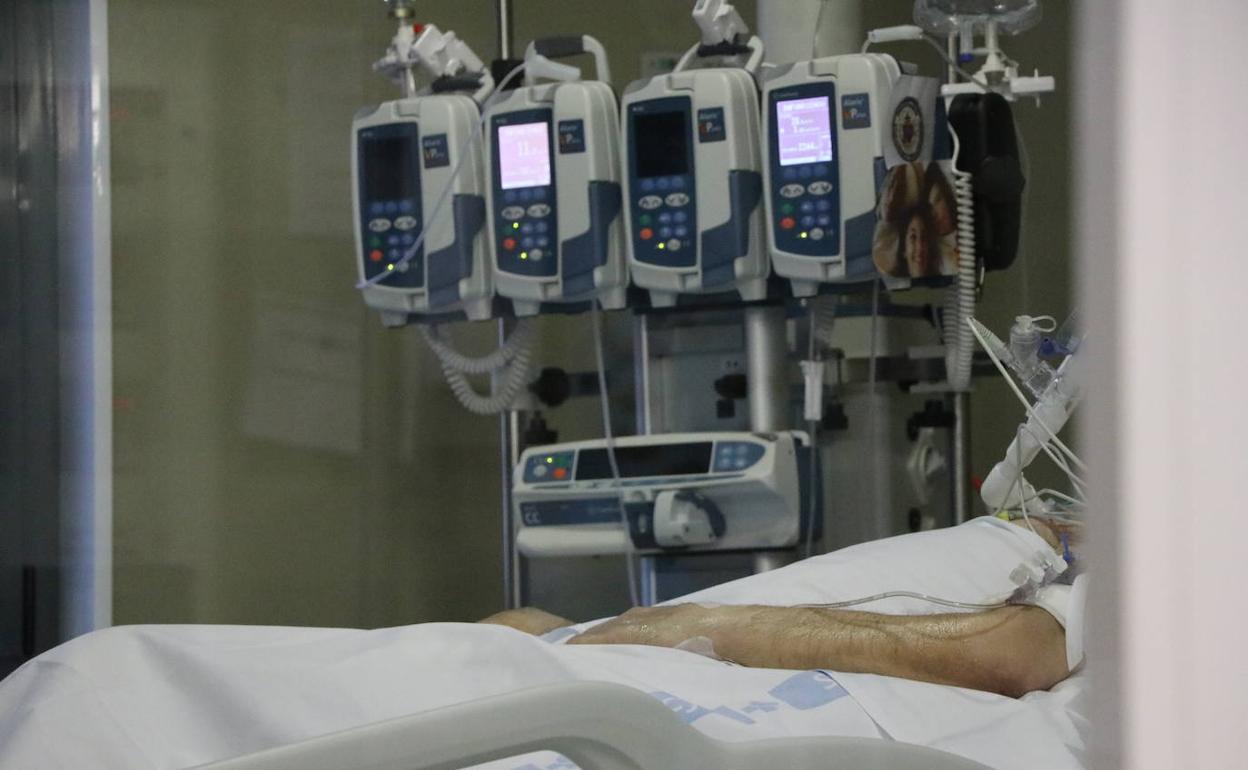 Un paciente covid en una UCI de León. 