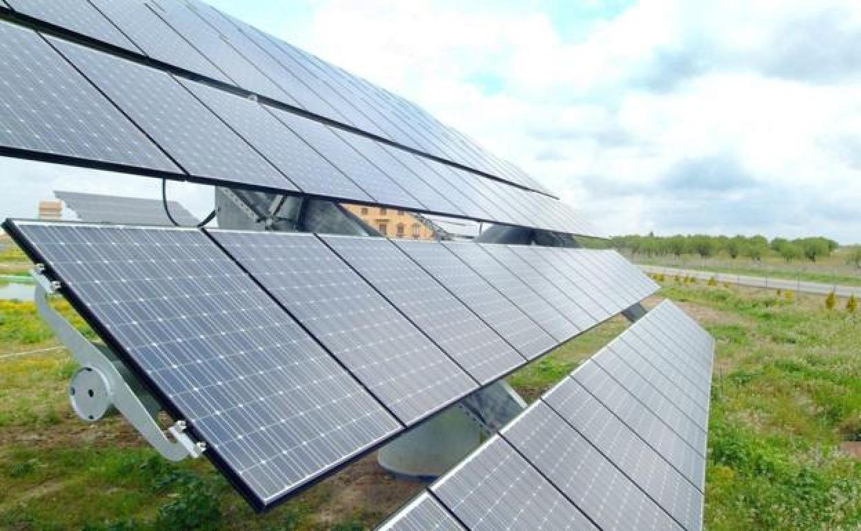 Imagen de unos paneles solares en una planta. 