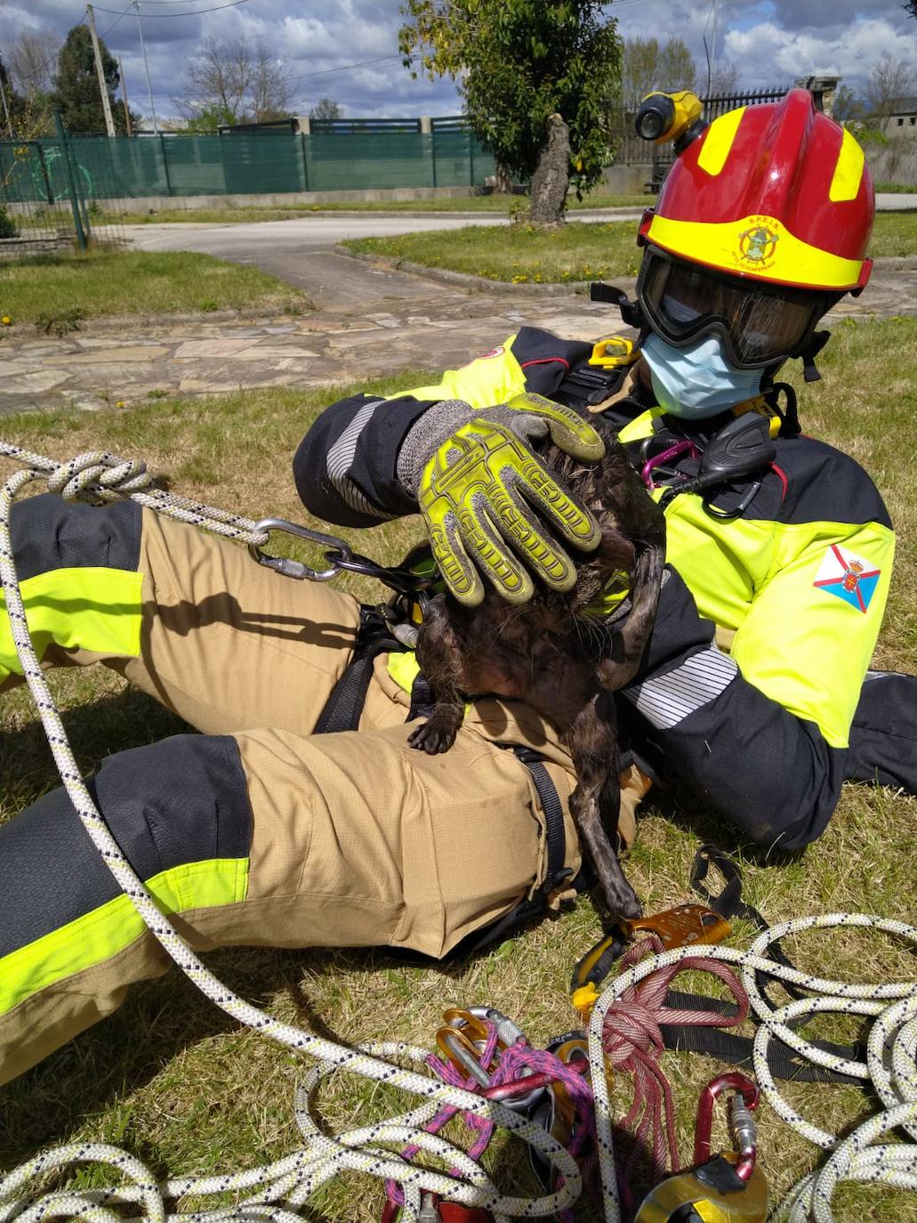 Imagen del rescate de un gato por los Bomberos de Ponferrada. 