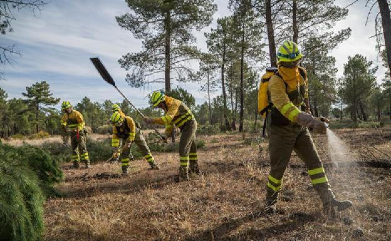 León recibe dos millones para la prevención de incendios.