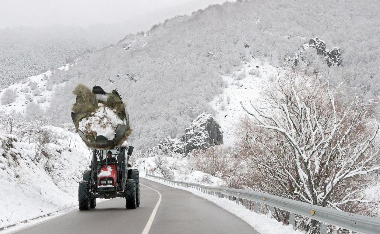 La nieve regresará a la provincia en las próximas horas.