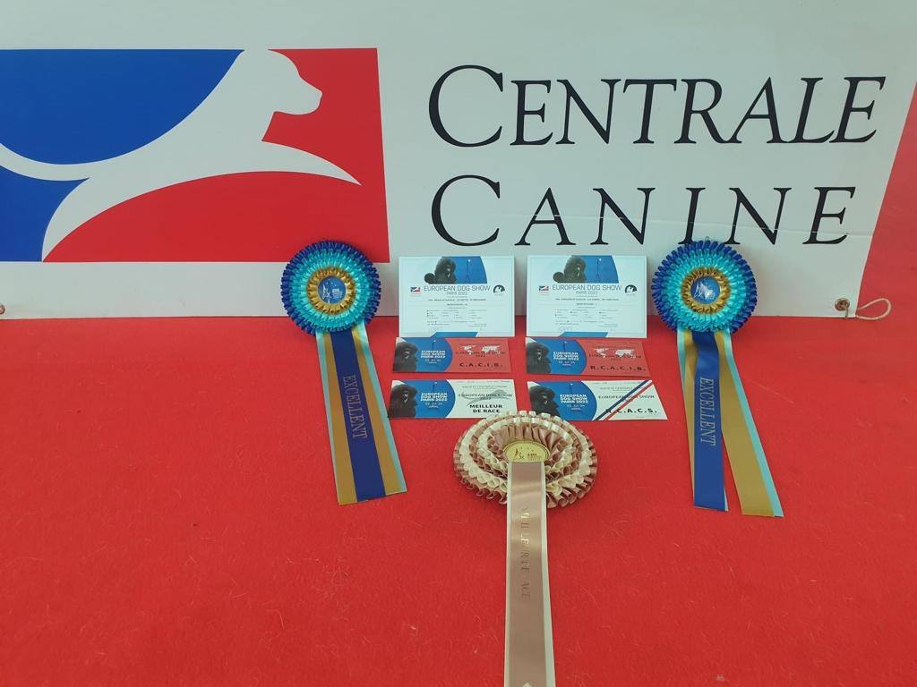 Delegación leonesa en el European Dog Show celebrado en París, con triunfos de la provincia. 