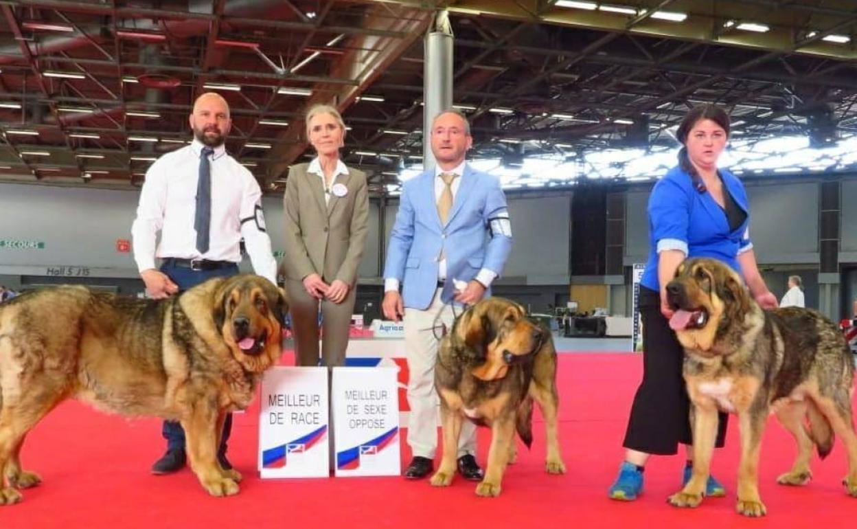 Imagen del triunfo leonés en el European Dog Show. 