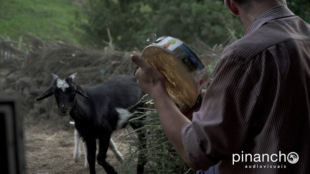 Fotos: El Arganeo se hace protagonista