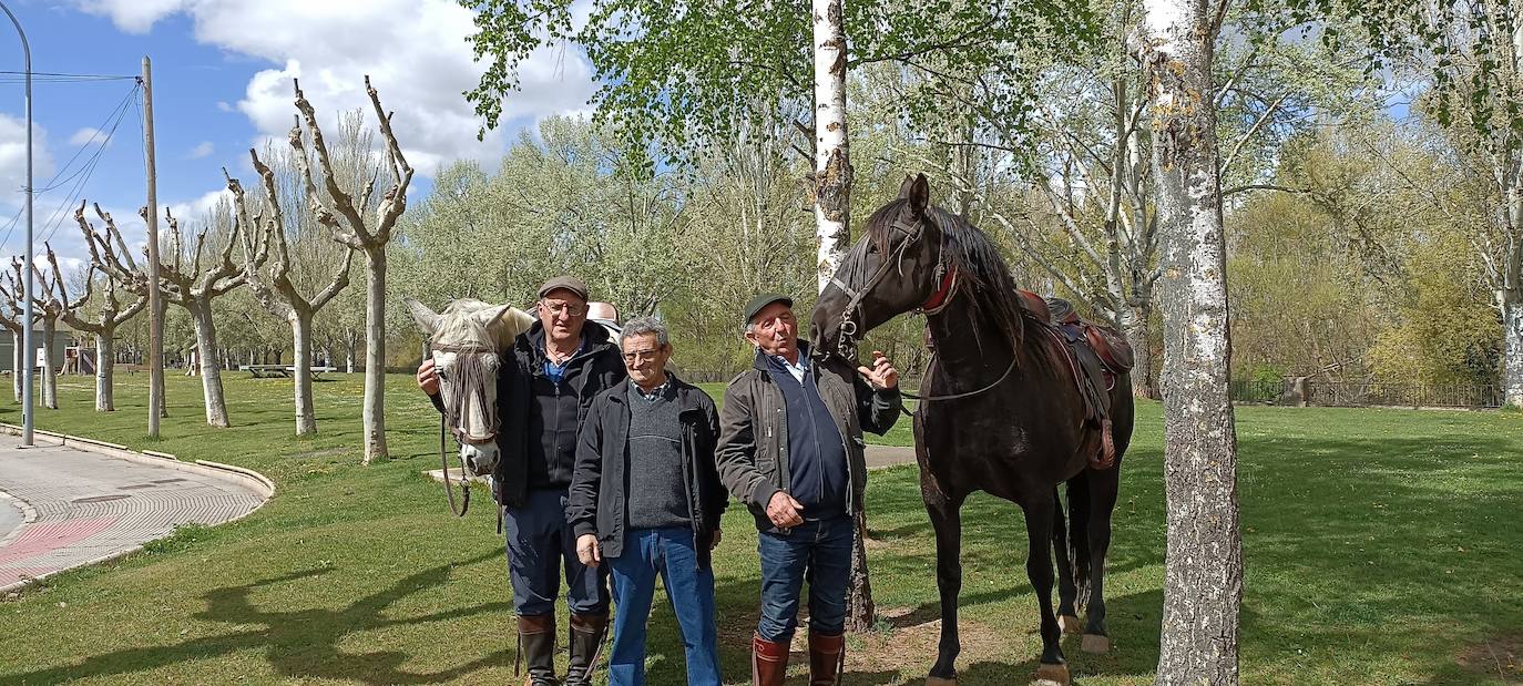 Fotos: De León a Santiago a lomos de Olaf y Giraldilla