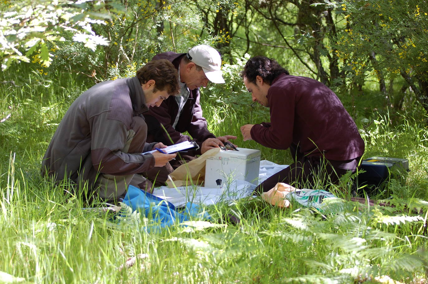 Un documental profundiza en la vida de estas aves y su importancia para saber gestionar el medioambiente