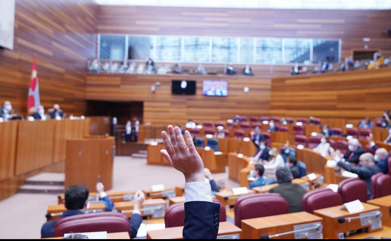 PSOE, Unidas Podemos, Ciudadanos y Soria ¡Ya! recriminaron que Maroto no tiene vinculación con la Comunidad