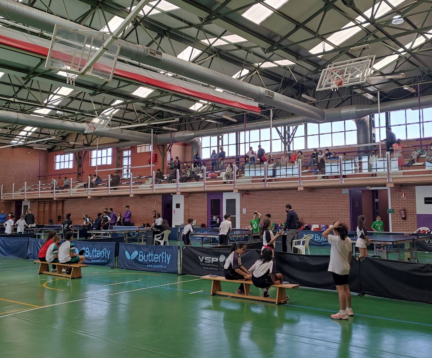 Imágenes del Campeonato Provincial de Tenis de Mesa, organizado por la Diputación de León. 