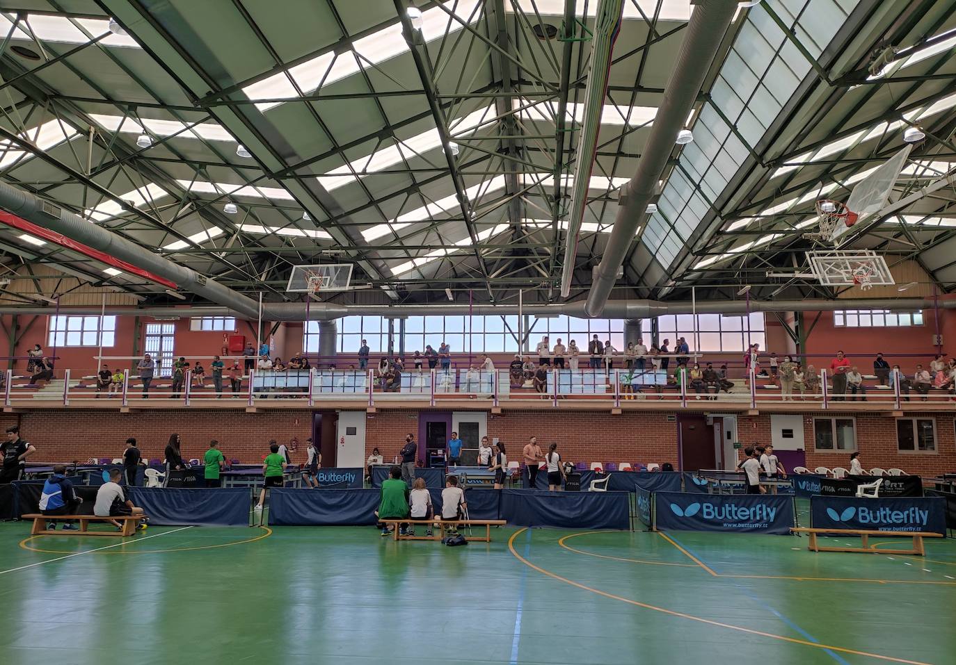 Imágenes del Campeonato Provincial de Tenis de Mesa, organizado por la Diputación de León. 