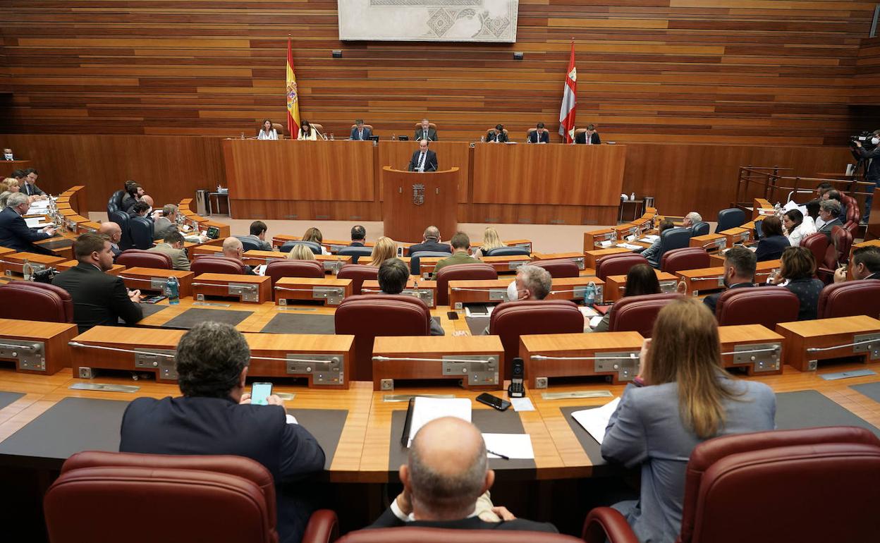 Pleno monográfico del Procurador del Común en las Cortes. 