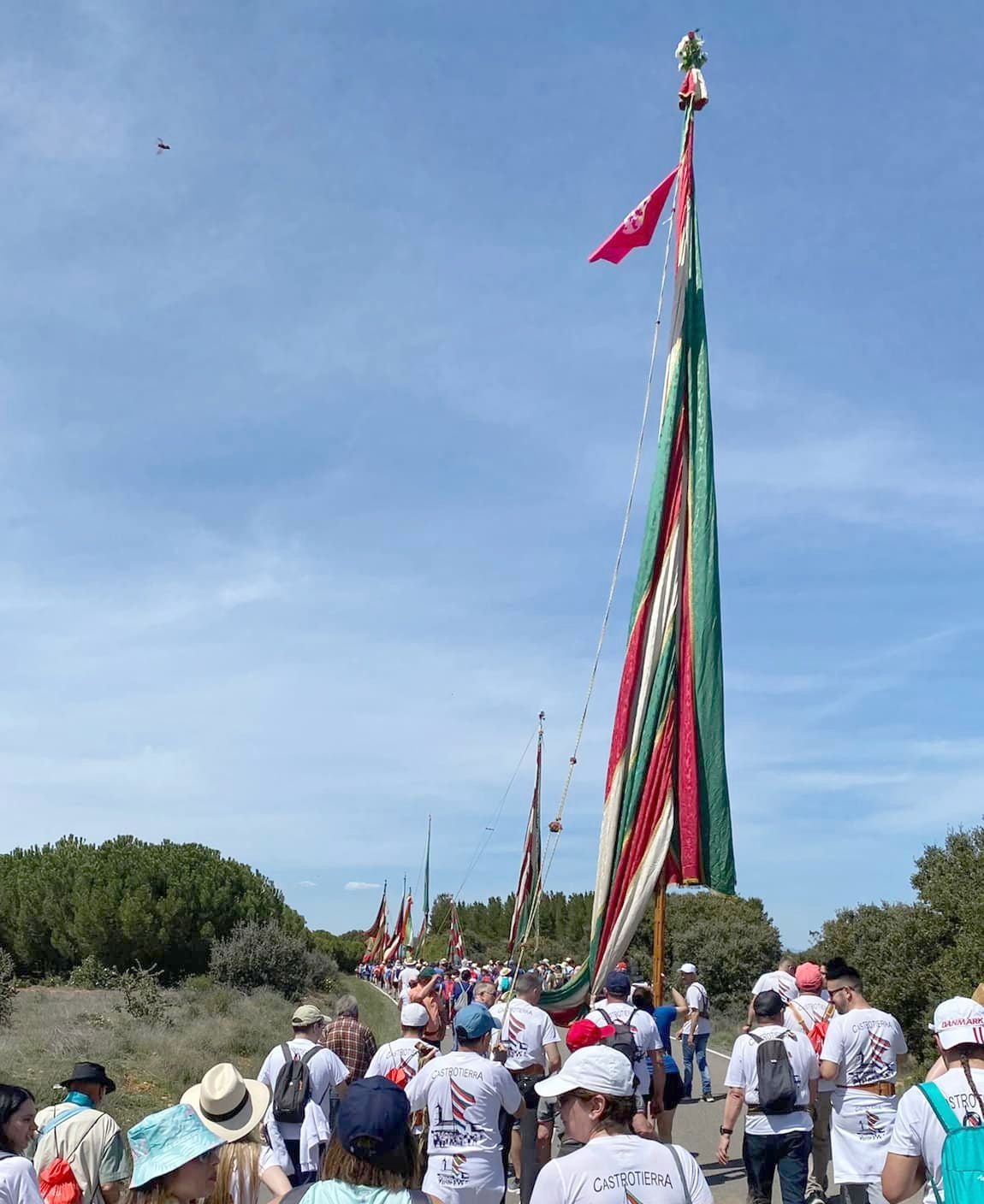 Peregrinación de la Virgen de Castrotierra a su Santuario arropada por miles de devotos y cientos de pendones 
