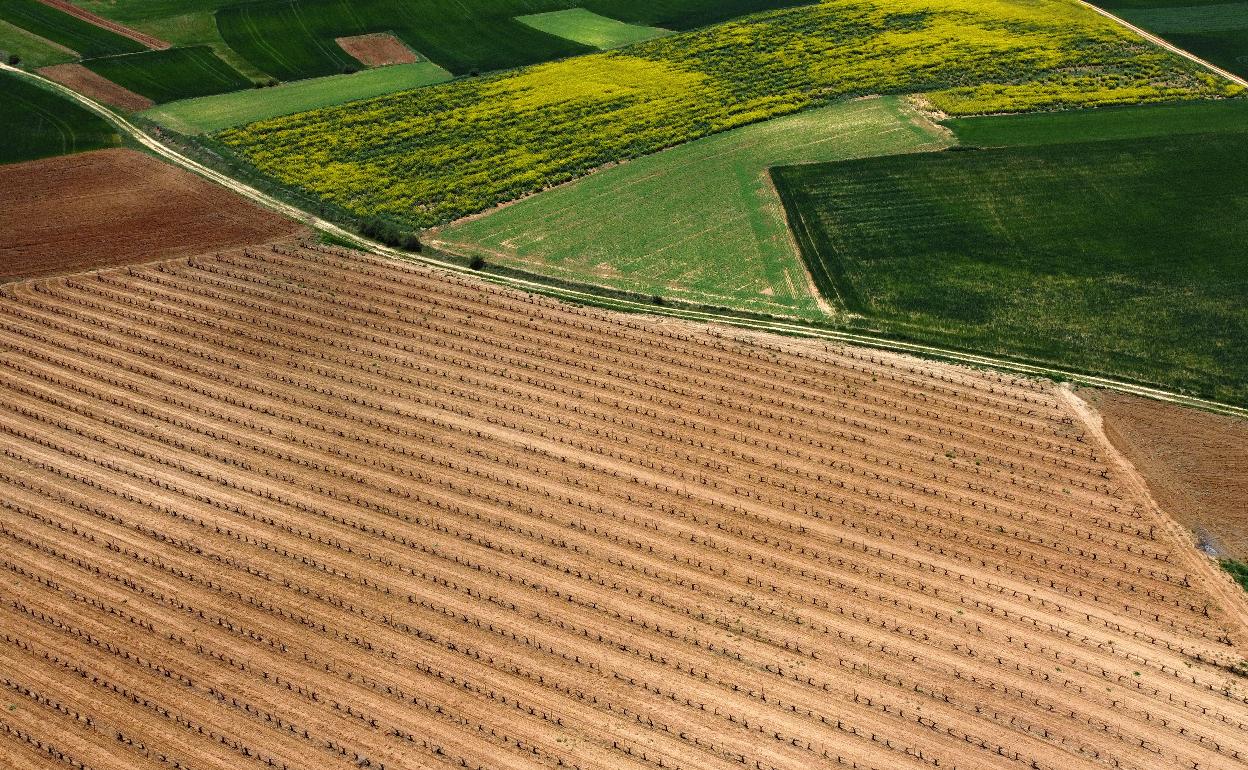 Vista aérea de diversos cultivos agrarios