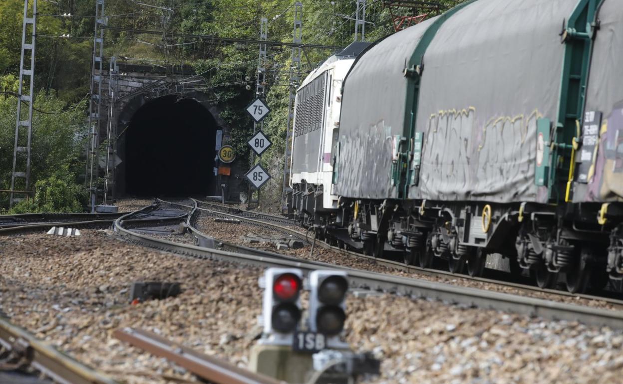 Imagen de un tren de mercancías a su paso por la rampa de Pajares.