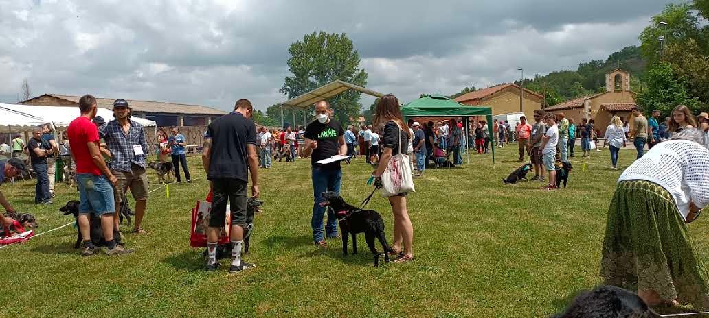 Esta tradicional feria dedicada a la investigación y difusión en el ámbito de las razas autóctonas y de pastoreo y a la agroalimentación de proximidad vuelve con fuerzas renovadas.