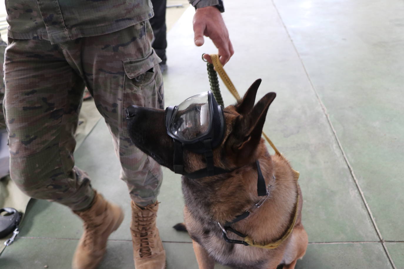 Ejercicio Lone Paratrooper acerca a la elite europea del paracaidas a la Virgen del Camino. 