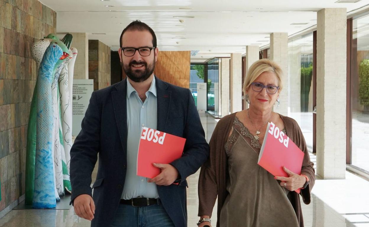 El secretario general del Grupo Socialista en las Cortes, Ángel Hernández, y la viceportavoz del Grupo Socialista en la Comisión de Familia, Isabel Gonzalo. 