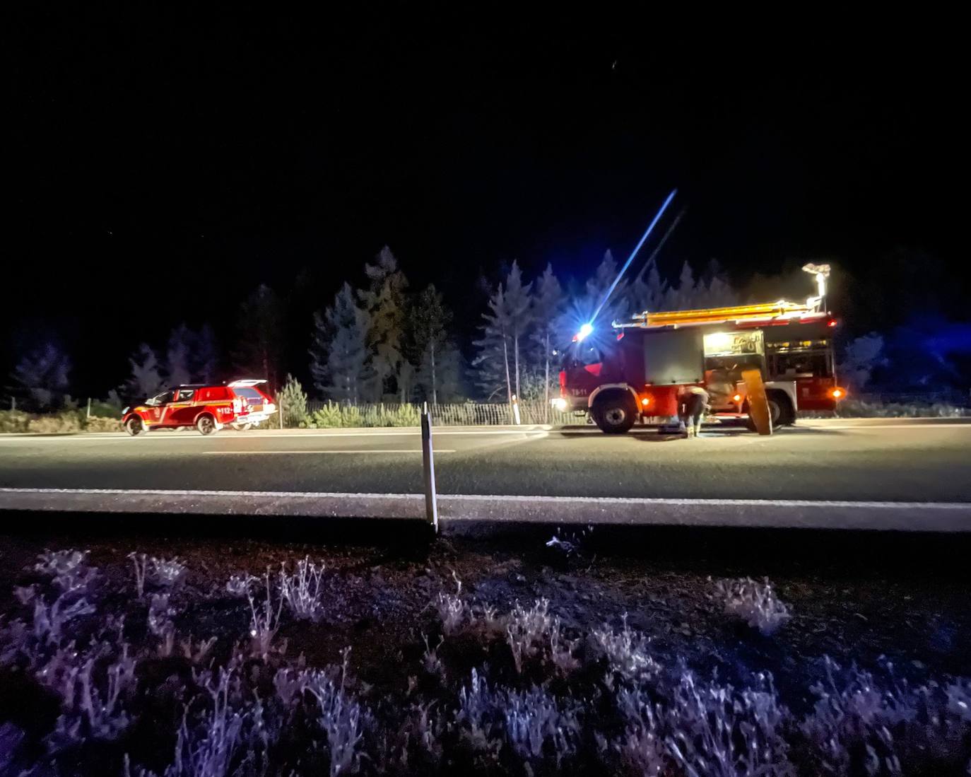 Imágenes del accidente en Rioseco de Tapia donde fue necesaria la intervención de Bomberos. 