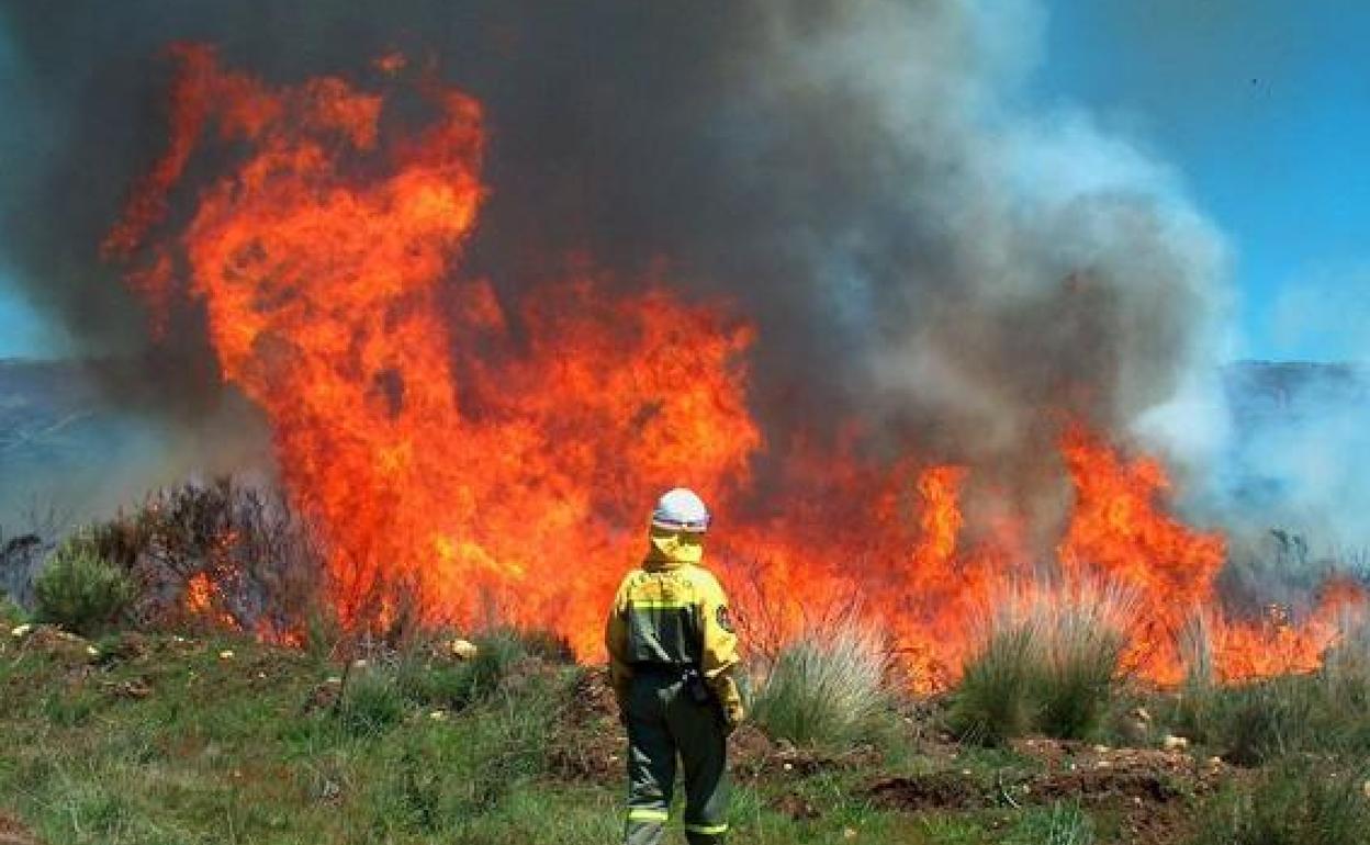 Imagen de archivo de un incendio forestal en la provincia de León. 