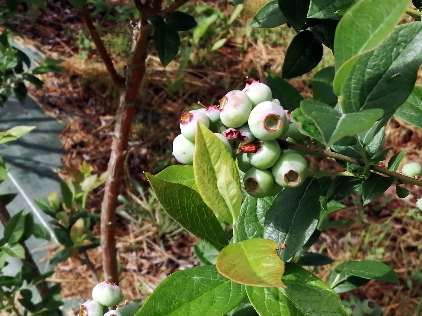 Fotos: &#039;Cultivando nuestro futuro&#039;