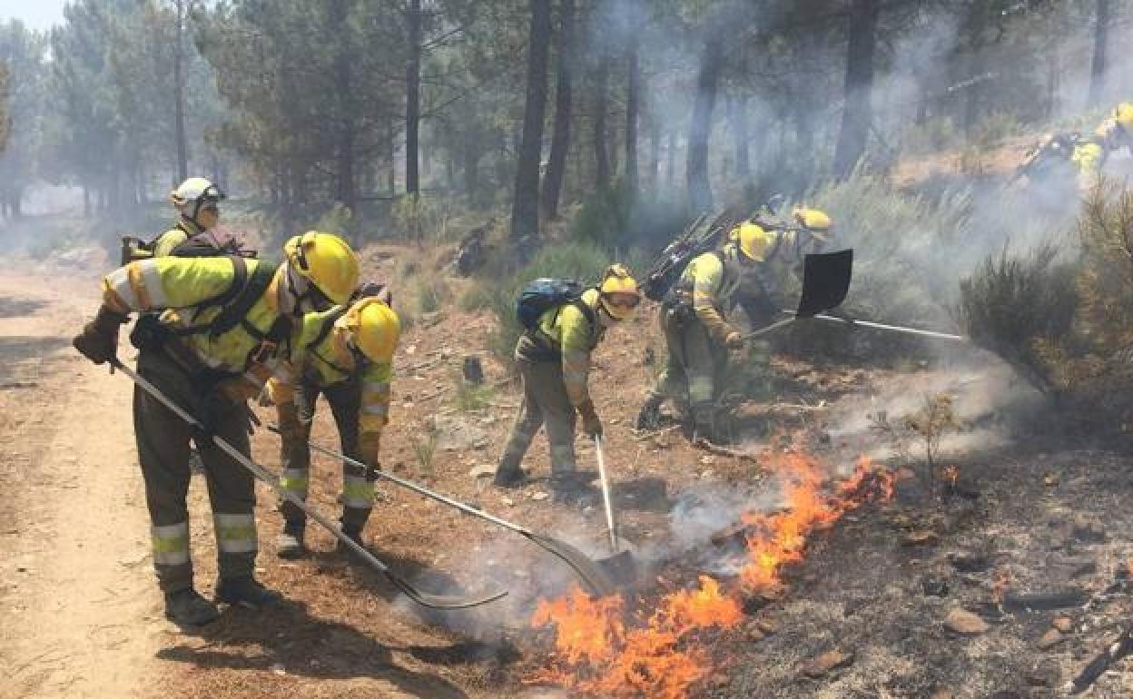 La Junta activa el peligro medio de incendios forestales.